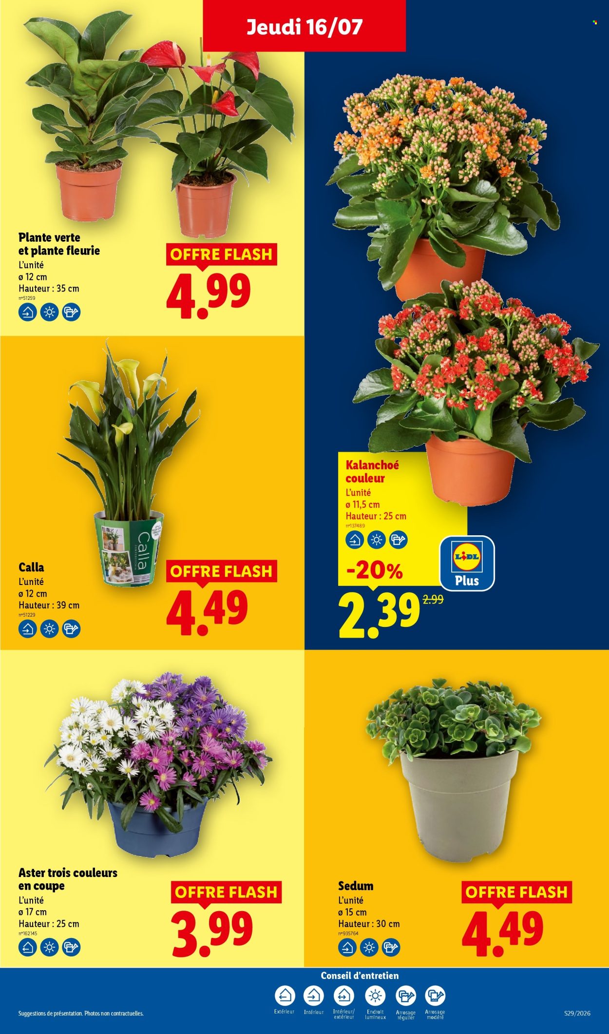 Catalogue Lidl - 16.07.2026 - 22.07.2026. Page 27