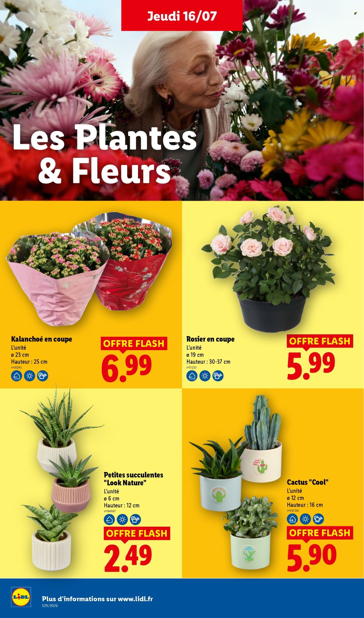 Catalogue Lidl - 16.07.2026 - 22.07.2026. Page 26