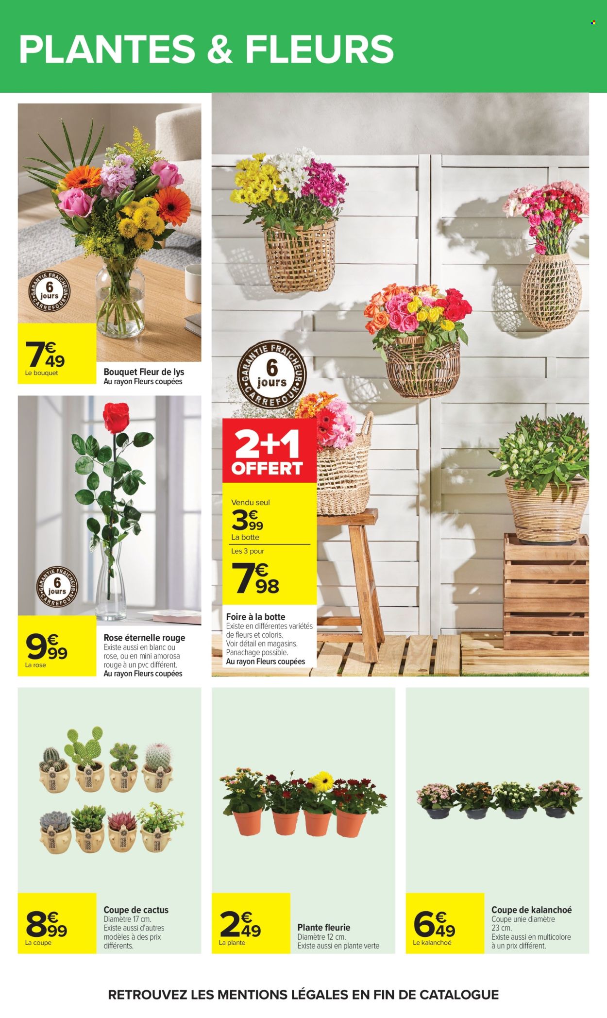 Catalogue Carrefour Hypermarchés - 13.07.2026 - 27.07.2026. Page 61