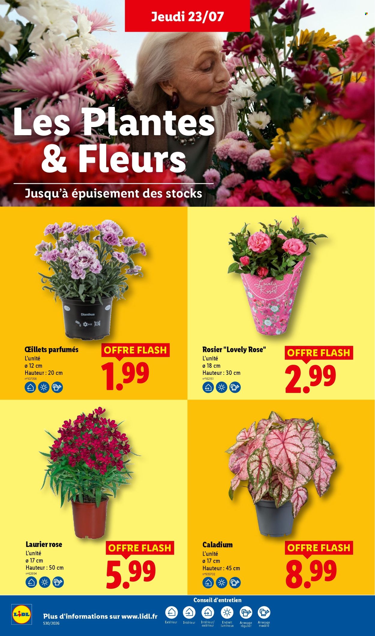 Catalogue Lidl - 23.07.2026 - 29.07.2026. Page 30