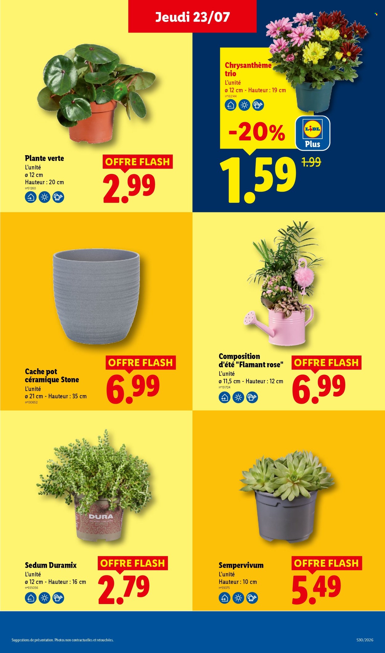 Catalogue Lidl - 23.07.2026 - 29.07.2026. Page 31