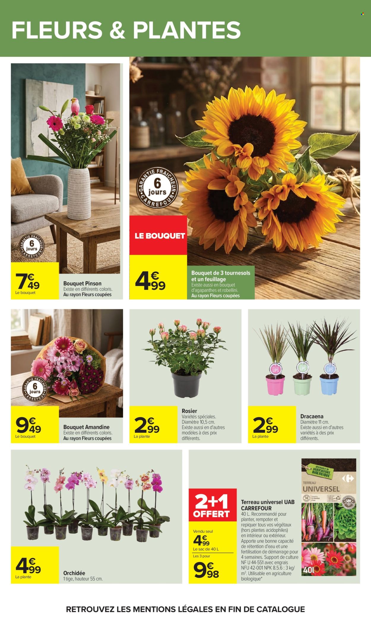 Catalogue Carrefour Hypermarchés - 21.07.2026 - 03.08.2026. Page 62