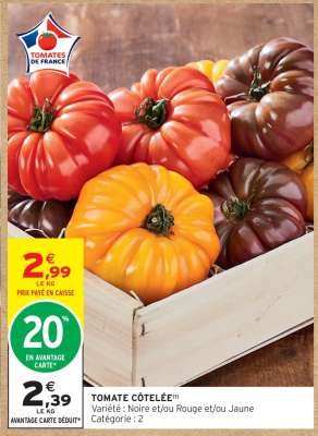 TOMATE COTELEE