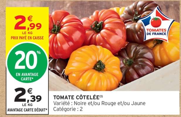 TOMATE COTELEE