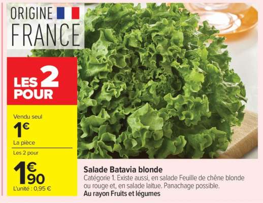Salade Batavia Blonde