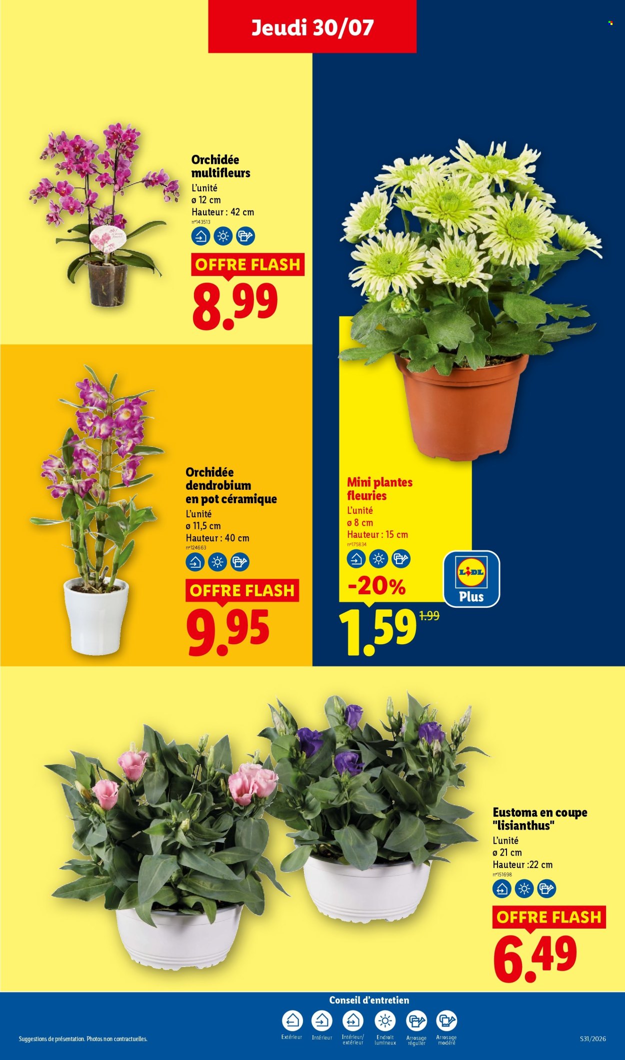 Catalogue Lidl - 30.07.2026 - 05.08.2026. Page 29