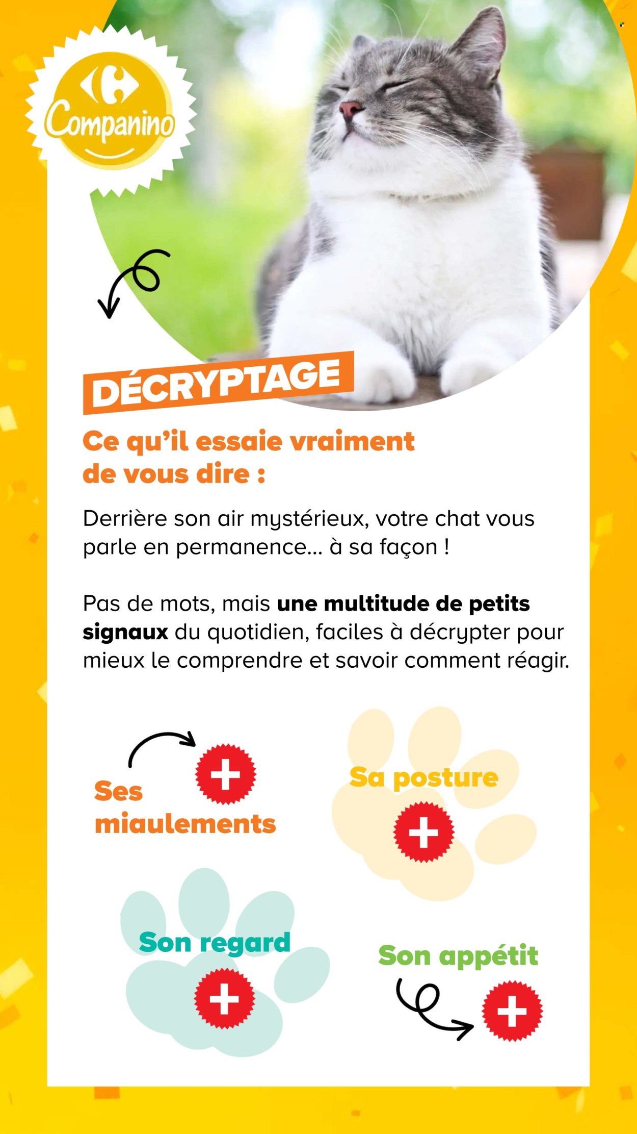 Catalogue Carrefour - 04.08.2026 - 07.09.2026. Page 11