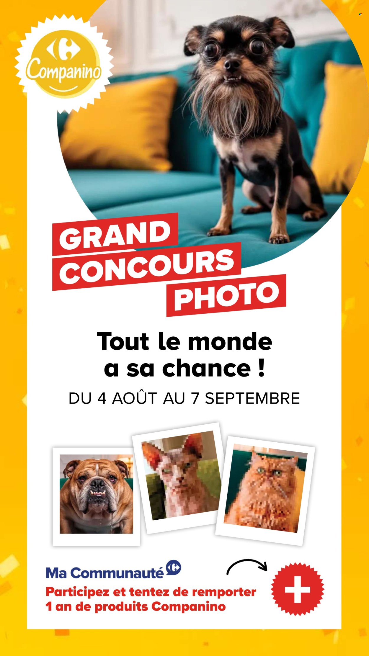 Catalogue Carrefour - 04.08.2026 - 07.09.2026. Page 19