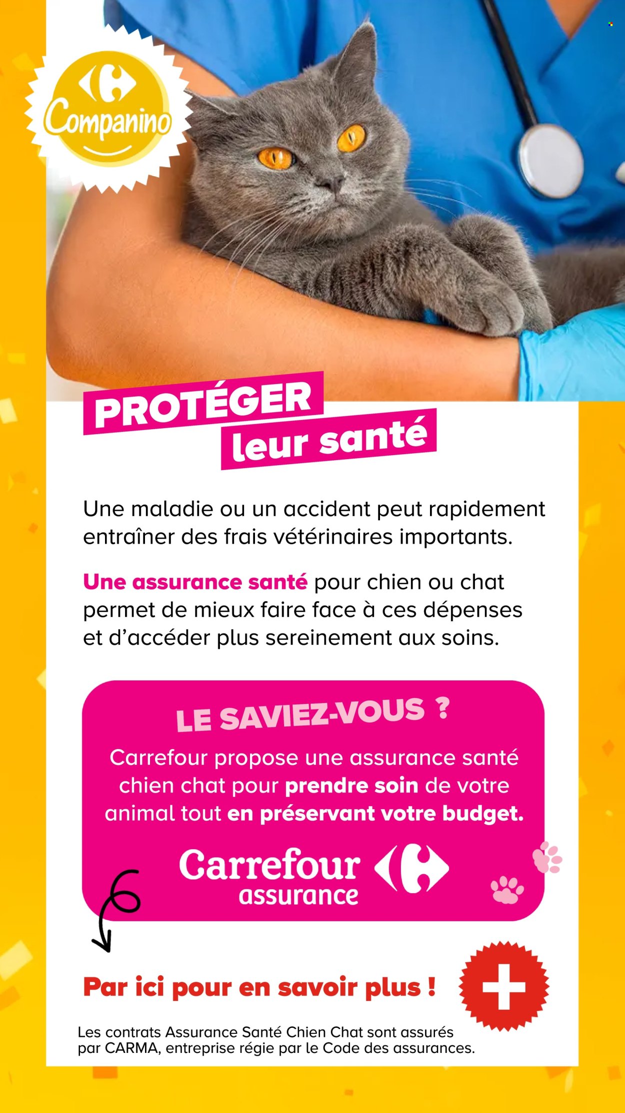 Catalogue Carrefour - 04.08.2026 - 07.09.2026. Page 20