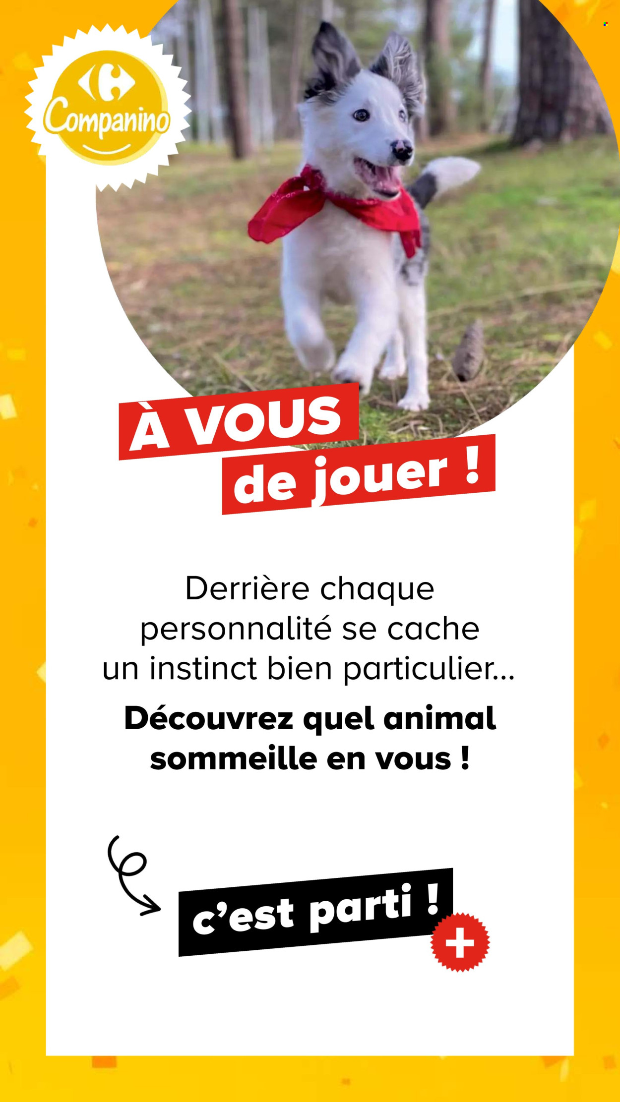 Catalogue Carrefour - 04.08.2026 - 07.09.2026. Page 21