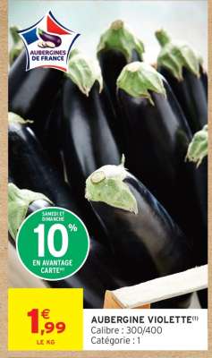 AUBERGINE VIOLETTE
