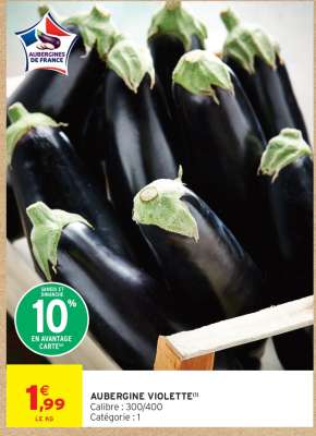 AUBERGINE VIOLETTE