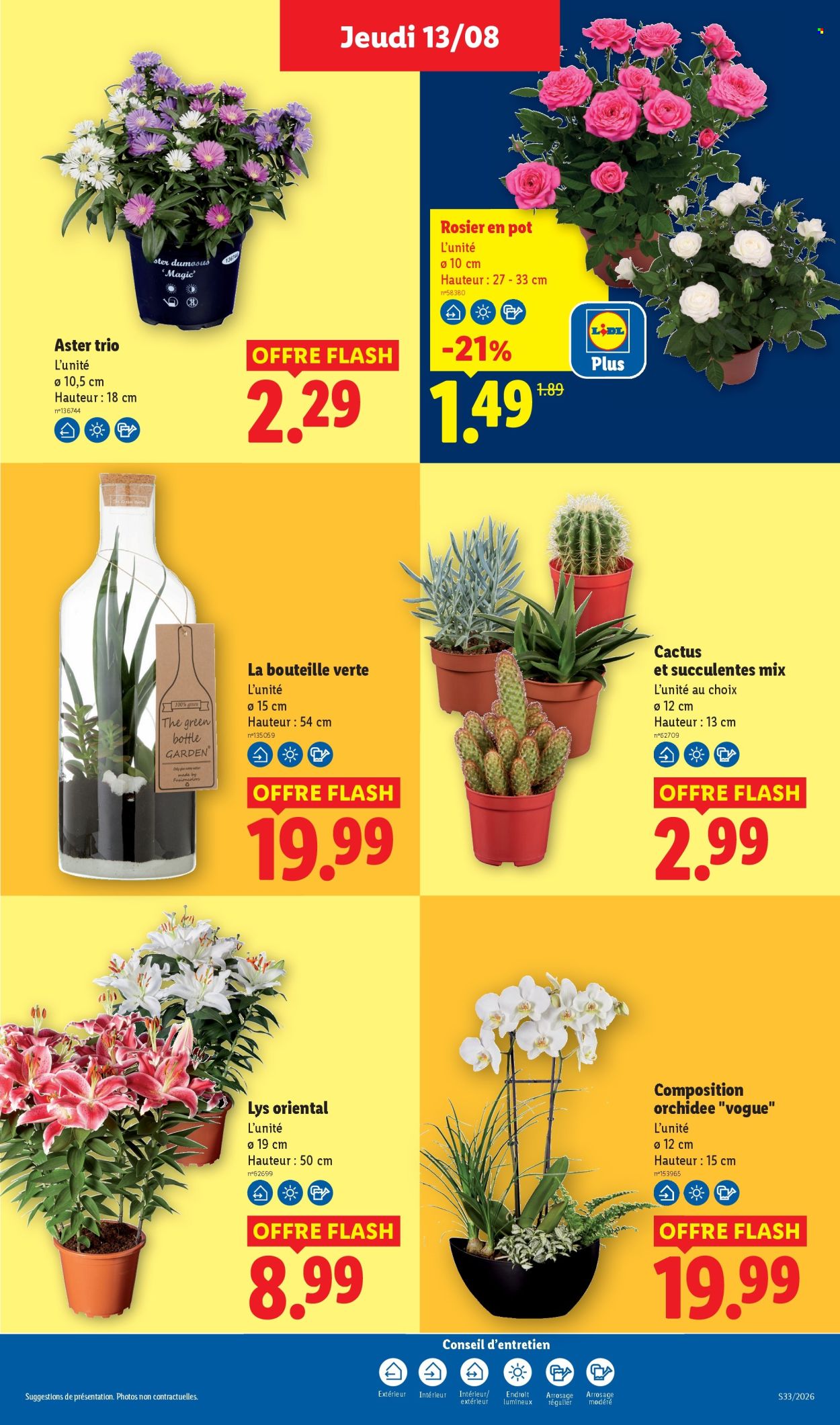 Catalogue Lidl - 13.08.2026 - 19.08.2026. Page 29