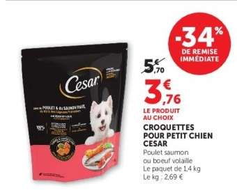 CROQUETTES POUR PETIT CHIEN CESAR