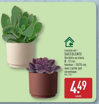 GARDENLINE® SUCCULENTE