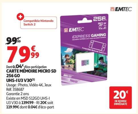 CARTE MÉMOIRE MICRO SD 256 GO