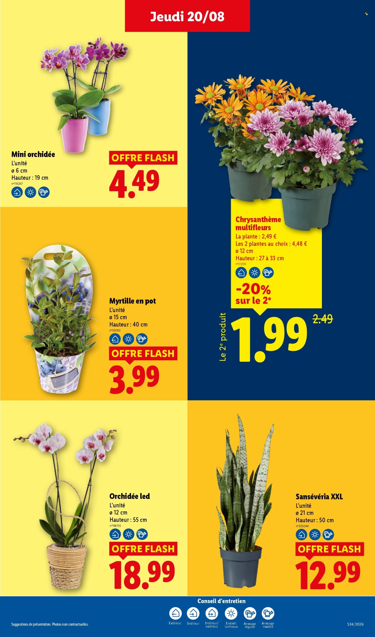 Catalogue Lidl - 20.08.2026 - 26.08.2026. Page 29