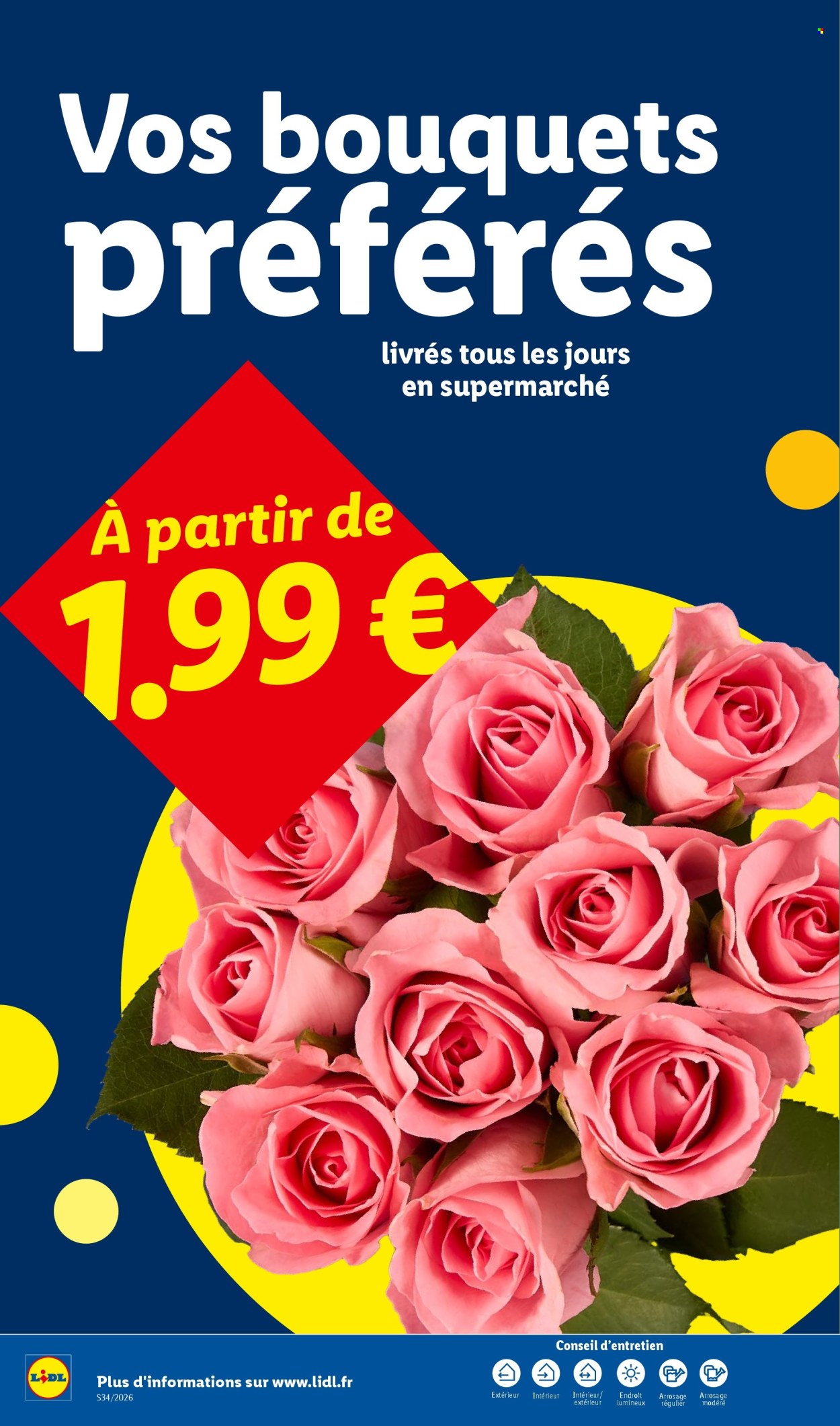 Catalogue Lidl - 20.08.2026 - 26.08.2026. Page 34