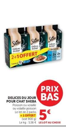DELICES DU JOUR POUR CHAT SHEBA