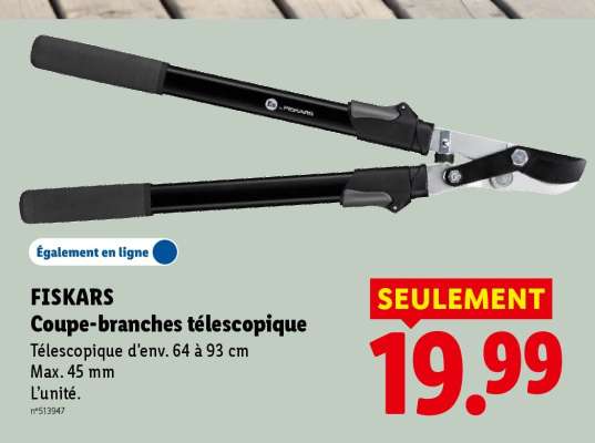 FISKARS Coupe-branches télescopique