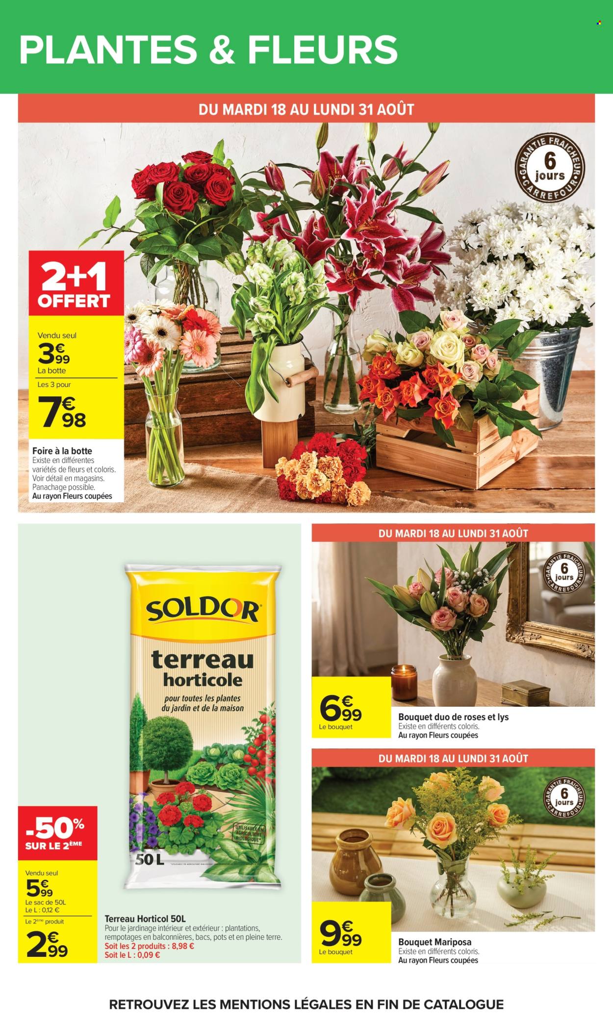 Catalogue Carrefour Hypermarchés - 17.08.2026 - 31.08.2026. Page 67