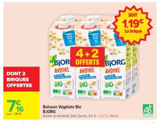BOISSON VÉGÉTALE BIO “BJORG”