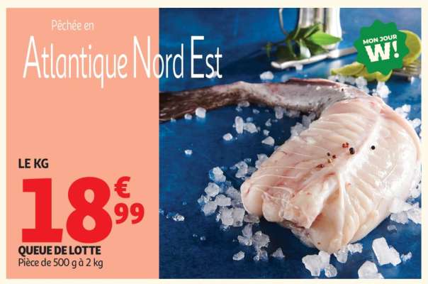 QUEUE DE LOTTE
