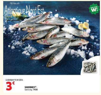 Sardines