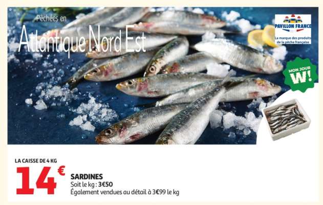 Sardines