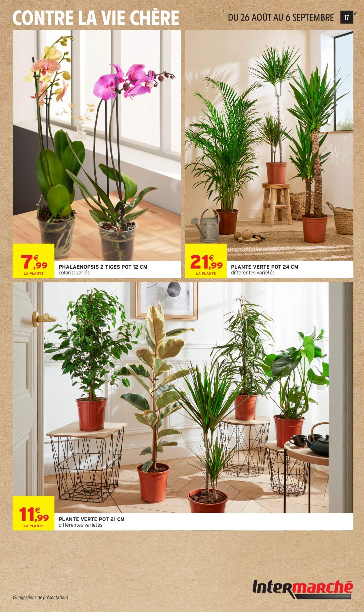 Catalogue Intermarché Super - 25.08.2026 - 06.09.2026. Page 17