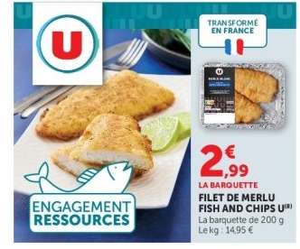 FILET DE MERLU FISH AND CHIPS U