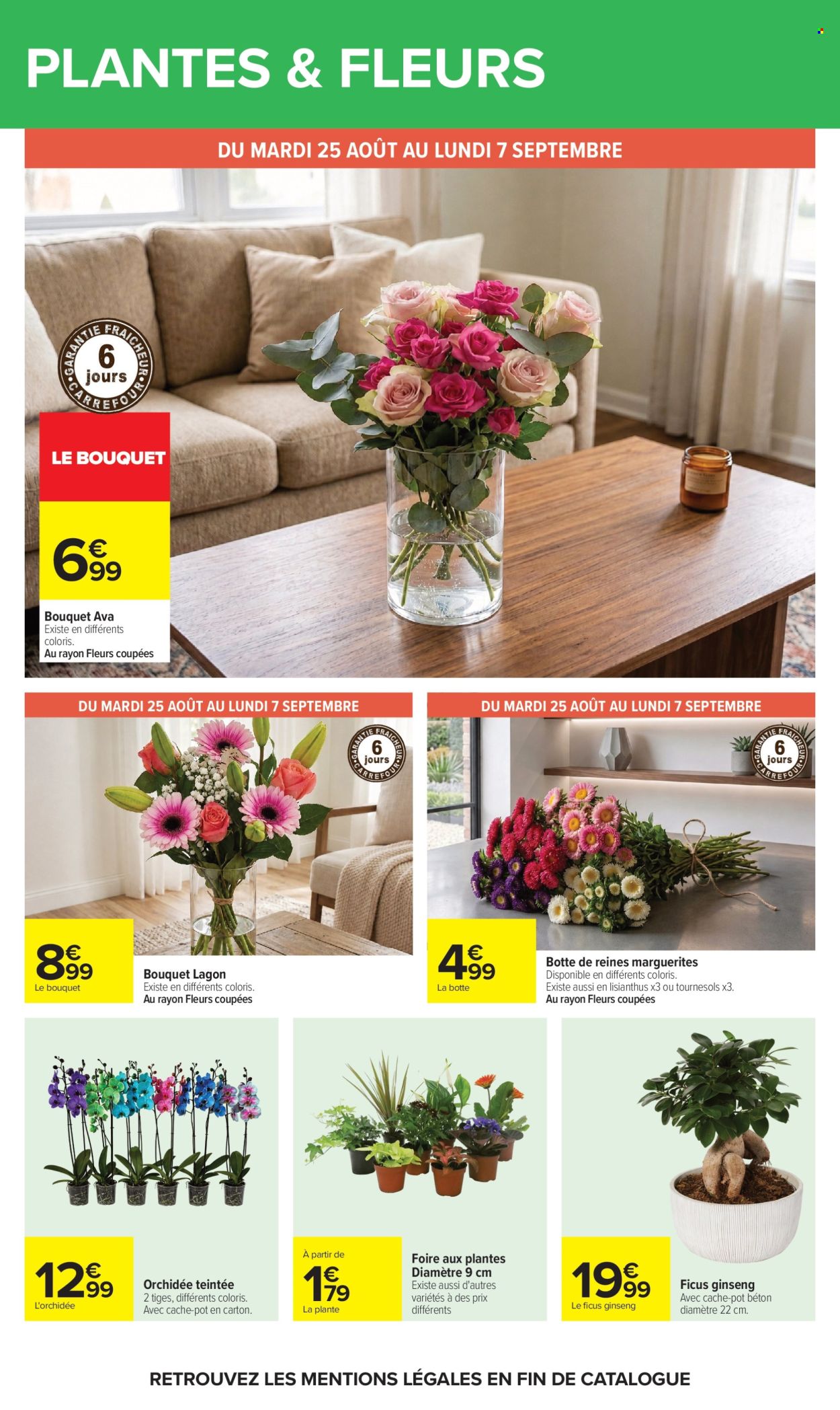 Catalogue Carrefour Hypermarchés - 24.08.2026 - 07.09.2026. Page 66