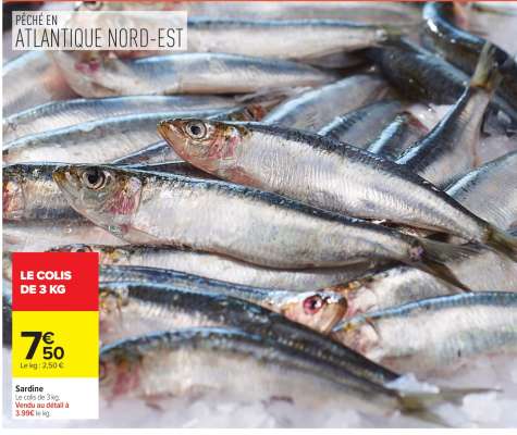 SARDINE
