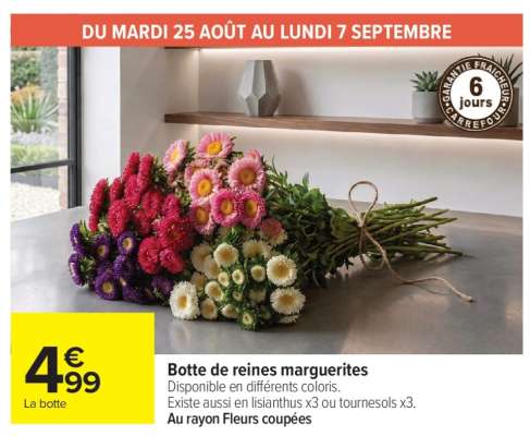 Botte de reines marguerites