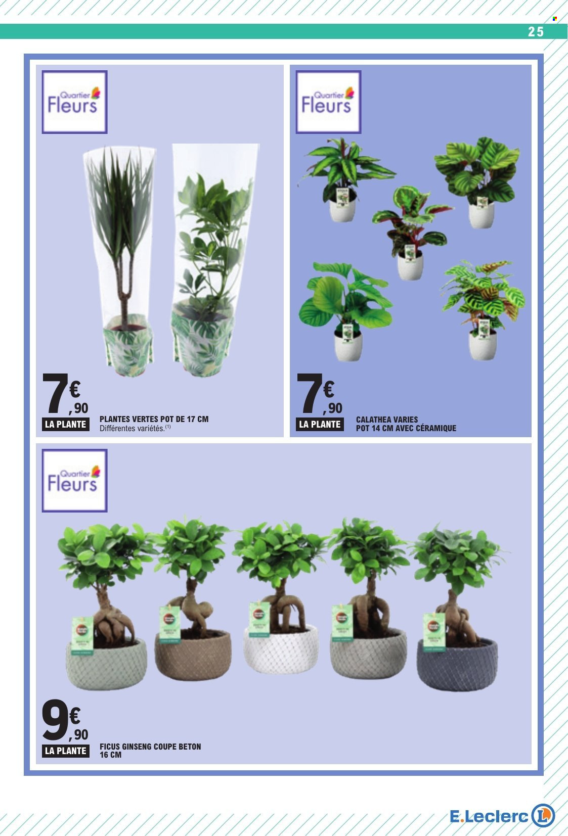 Catalogue E.Leclerc - 25.08.2026 - 05.09.2026. Page 25