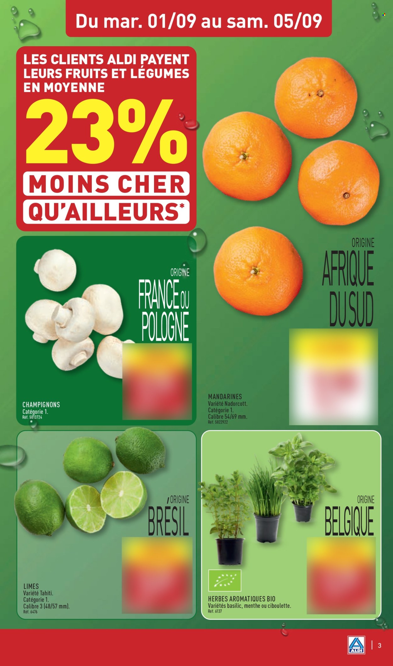Catalogue ALDI - 01.09.2026 - 07.09.2026. Page 5