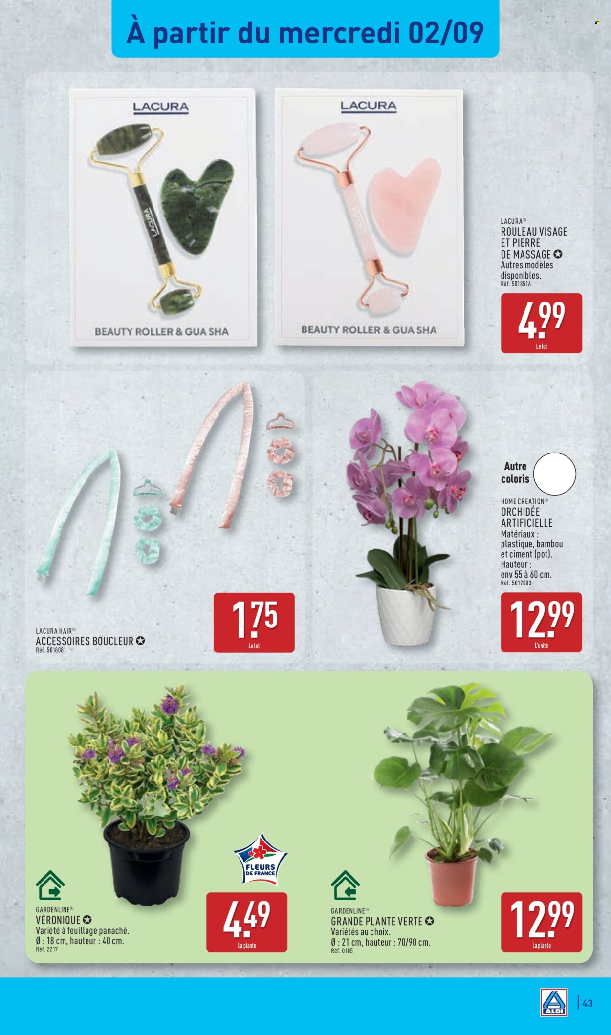 Catalogue ALDI - 01.09.2026 - 07.09.2026. Page 45