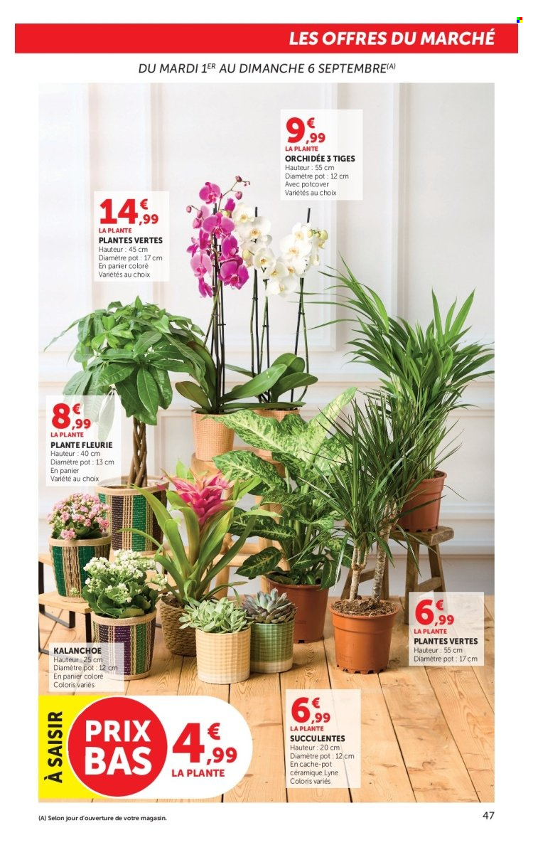 Catalogue HYPER U - 01.09.2026 - 13.09.2026. Page 47