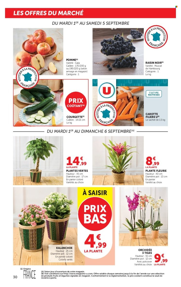 Catalogue SUPER U - 01.09.2026 - 13.09.2026. Page 30