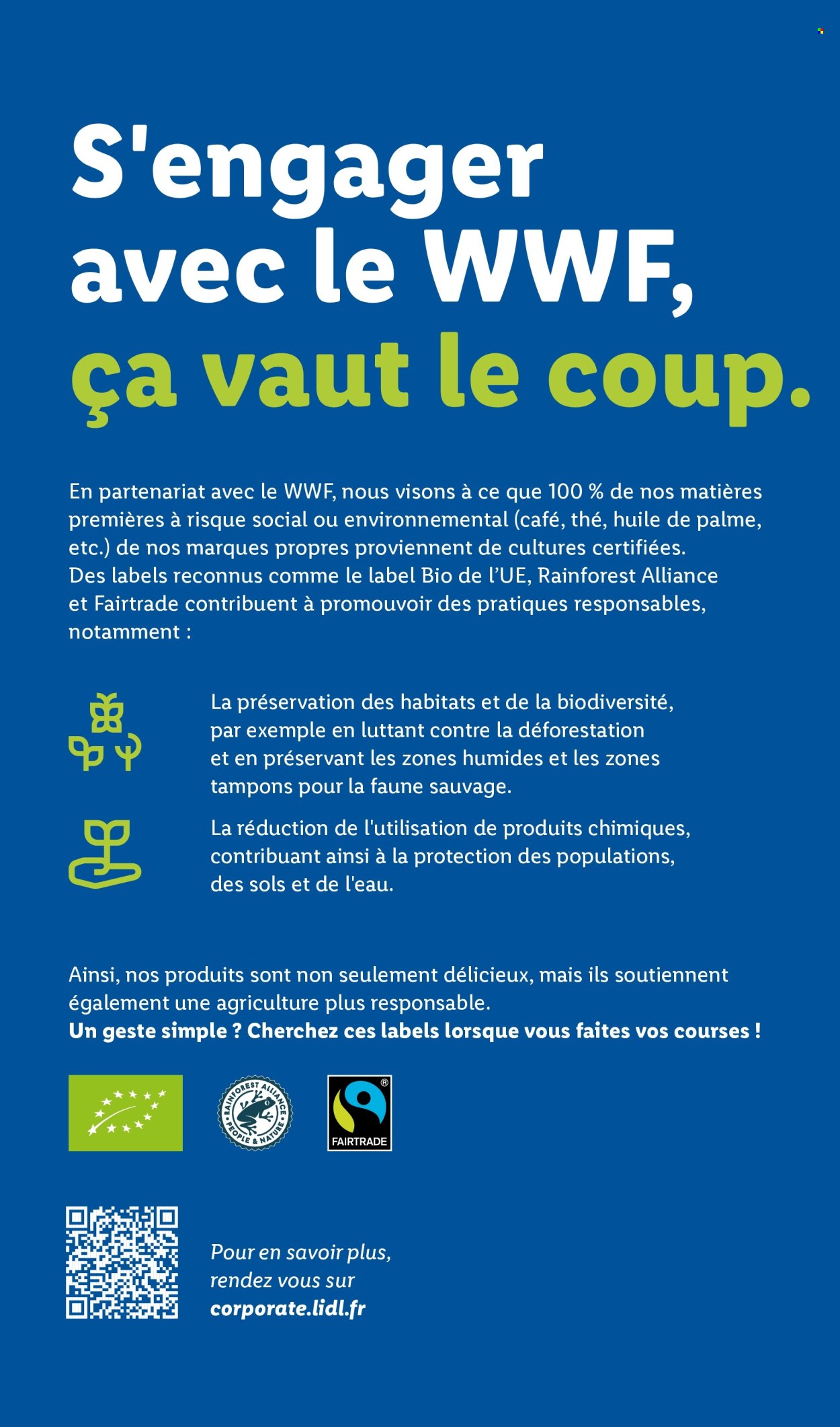 Catalogue Lidl - 03.09.2026 - 09.09.2026. Page 32