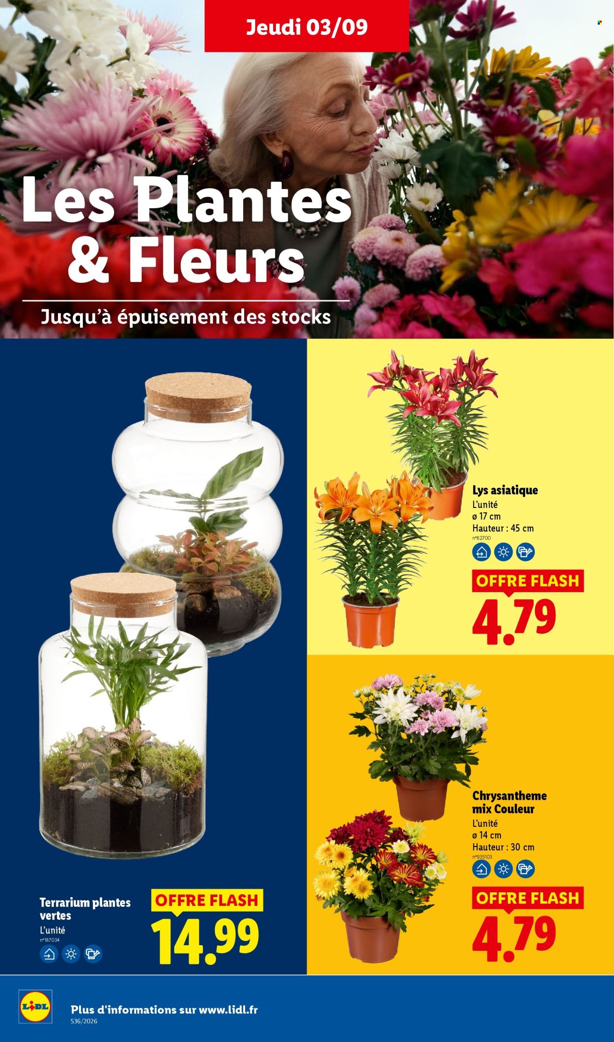 Catalogue Lidl - 03.09.2026 - 09.09.2026. Page 34