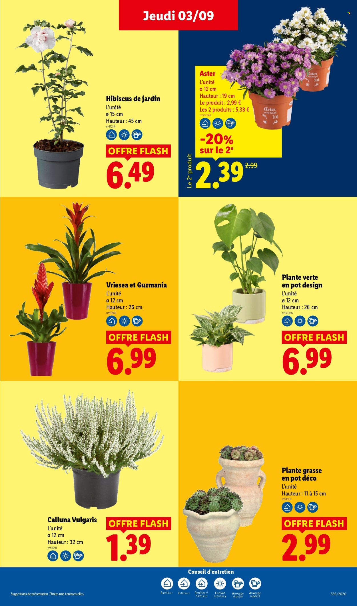 Catalogue Lidl - 03.09.2026 - 09.09.2026. Page 35