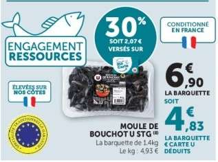 Moule de Bouchot U STG