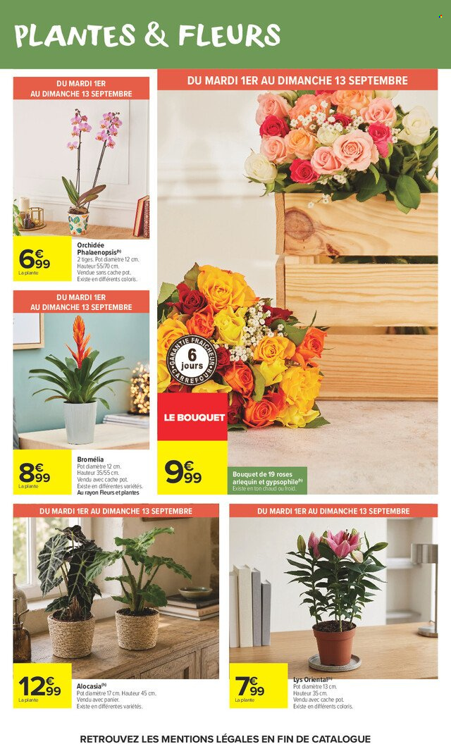 Catalogue Carrefour Market - 01.09.2026 - 13.09.2026. Page 52