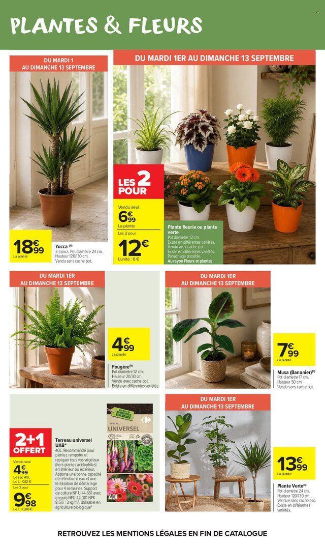 Catalogue Carrefour Market - 01.09.2026 - 13.09.2026. Page 53