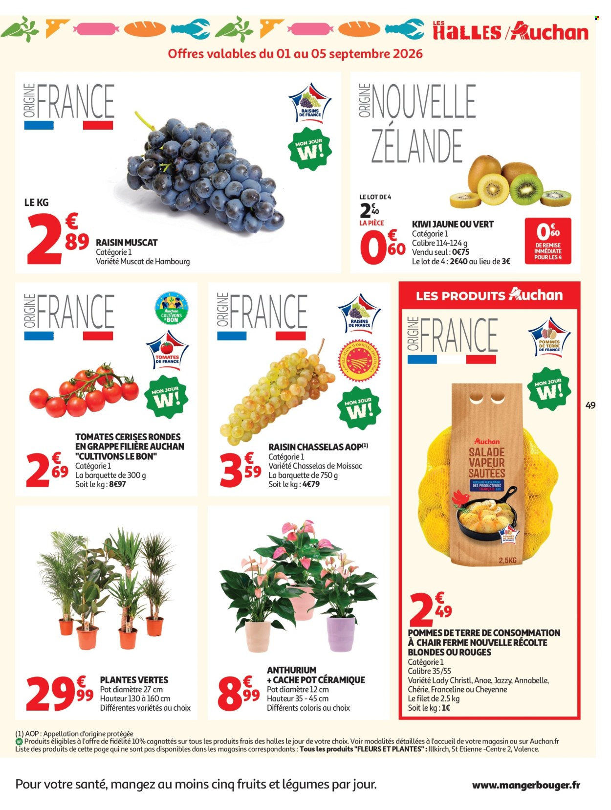 Catalogue Auchan - 01.09.2026 - 13.09.2026. Page 51