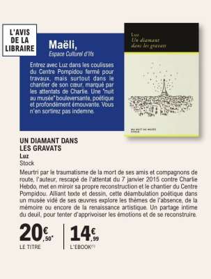 UN DIAMANT DANS LES GRAVATS