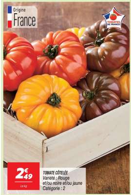 TOMATE COTELEE