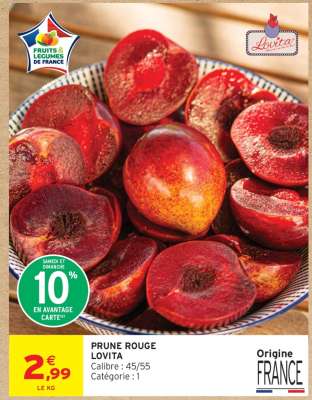 PRUNE ROUGE LOVITA