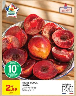 PRUNE ROUGE LOVITA